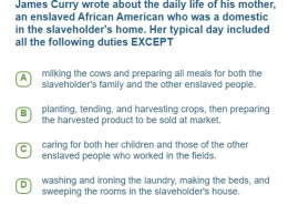 What were the daily duties of James Curry’s mother, an enslaved African American domestic in the slaveholder’s home?