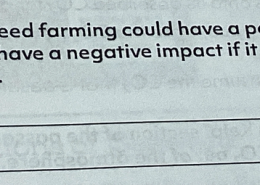 According to the author, what are the potential positive and negative impacts of seaweed farming on coastal communities?