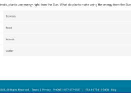 What do plants make using the energy from the Sun