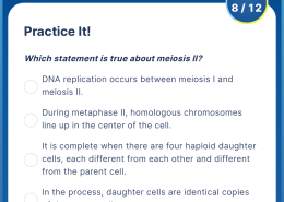 Which statement is true about meiosis II