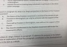 What is Dr. King’s perspective on the future of the freedom movement?