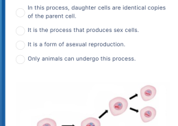 Which of the following is true about the process depicted in the diagram