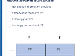 Determine the genotype of parent 2 based on Mendel’s laws and the Punnett square provided