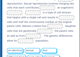 Nearly all multicellular organisms undergo reproduction. Sexual reproduction involves merging two cells that each contributes _____, an organism’s _____ is a type of cell division that begins with a single cell and results in _____ cells with half the chromosome number of the original parent cells. Meiosis creates four _____ daughter cells that are genetically _____ the parent cells as well as from _____ . The genetic differences allow for _____ population.