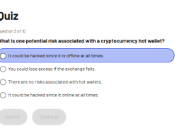 Potential Risks of Cryptocurrency Hot Wallets