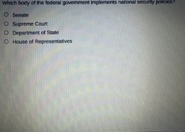 Which body of the federal government implements national security policies?