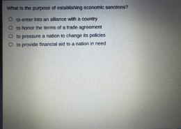 What is the purpose of establishing economic sanctions?