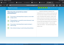 What does this excerpt tell you about photosynthesis