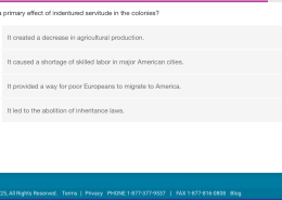 What was a primary effect of indentured servitude in the colonies?