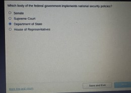 Which body of the federal government implements national security policies?