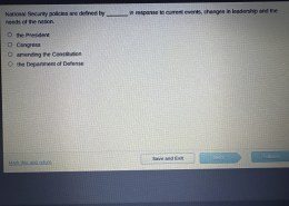 National Security policies are defined by ________ in response to current events, changes in leadership and the needs of the nation.