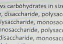 Which list correctly shows carbohydrates in size from smallest to largest?
