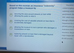 Based on this excerpt, an insurance “indemnity” program helps a museum by replacing artwork on loan that is damaged beyond repair with a reproduction