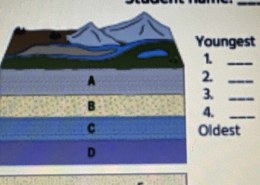 Which layer is youngest and which is oldest in the geological cross-section shown above?