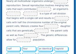 What words or phrases best complete the summary of Meiosis?