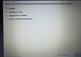 Which body of the federal government implements national security policies?