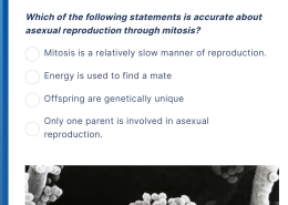 Which of the following statements is accurate about asexual reproduction through mitosis?