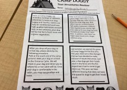 Determine the text structure of each of the following paragraphs: Compare and contrast, sequence, problem and solution, description, cause and effect