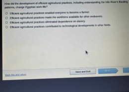 The Impact of Efficient Agricultural Practices on Egyptian Work Life and Society  How did the development of efficient agricultural practices, including understanding the Nile River’s flooding patterns, change Egyptian work life?