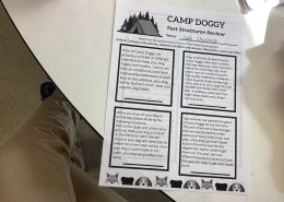 Dog Accommodations and Procedures at Camp Doggy