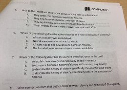 How do the depictions of slavery in paragraphs 7-8 help us understand it?  

What following does the author describe as a main consequence of slavery?  

What describes the author’s overall purpose in the text?  

What connection does that author draw between slavery and skin color? (Paragraph 6)