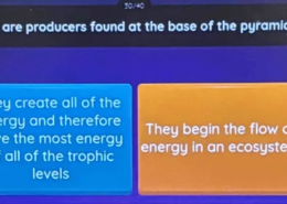 Why are producers found at the base of the pyramid?
