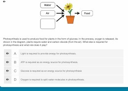 What else is required for photosynthesis and what role does it play?