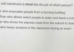 The role of the cell membrane is most like the job of which person?