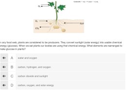 What elements are rearranged to make glucose in plants?