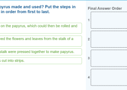 How was papyrus made and used? Put the steps in this process in order from first to last: People wrote on the papyrus, which could then be rolled and stored. People removed the flowers and leaves from the stalk of a plant. The strips of stalk were pressed together to make papyrus. The stalk was cut into strips.