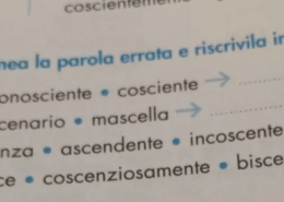 Per ogni gruppo, sottolinea la parola errata e riscrivila in modo corretto