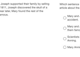 Which sentence best summarizes this paragraph from the article about the Anning family