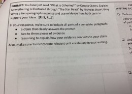 You have just read “What is Othering?” by Kendra Cherry. Explain how othering is illustrated through “The Star Beast” by Nicholas Stuart Gray. Write a two-paragraph response and use evidence from both texts to support your ideas. In your response, make sure to include all parts of a complete paragraph:  
– a claim that clearly answers the prompt  
– two to three pieces of evidence  
– reasoning to explain how your evidence connects to your claim  
Also, make sure to incorporate relevant unit vocabulary in your writing.