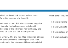 Which detail should be left out of a summary of this passage?