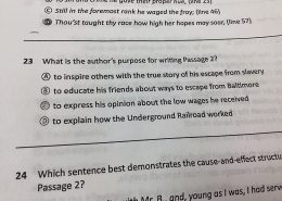 What is the author’s purpose for writing Passage 2?
