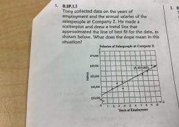 Tony collected data on the years of employment and the annual salaries of the salespeople at Company Z. He made a scatterplot and drew a trend line that approximated the line of best fit for the data, as shown below. What does the slope mean in this situation?