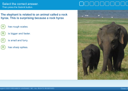 The elephant is related to an animal called a rock hyrax. This is surprising because a rock hyrax